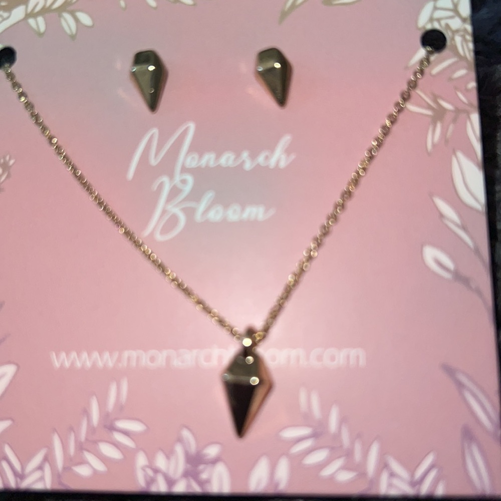 NWOT earrings/necklace set